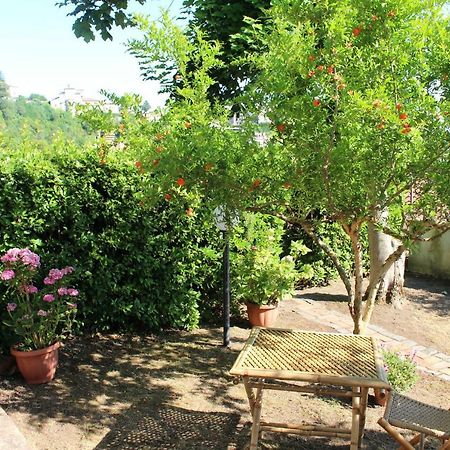 Le Coste Bed and Breakfast Veroli Eksteriør billede