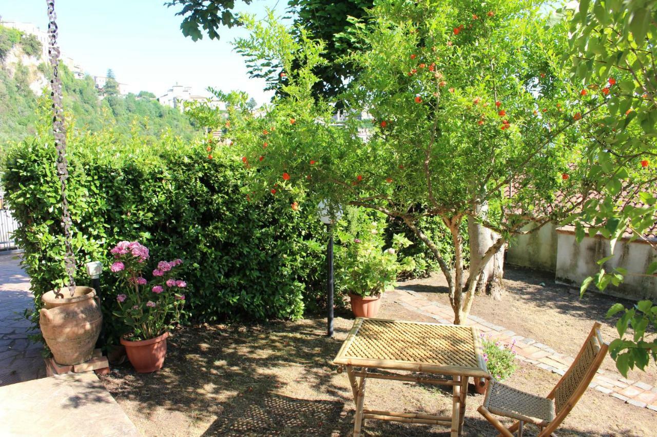 Le Coste Bed and Breakfast Veroli Eksteriør billede